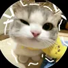 puppy_643