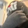 v1ntedw3st