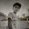 dnbb95