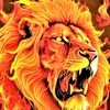 khal_99d6