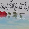 user4280670307936