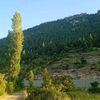 user7710081376736