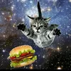 kitayka6666