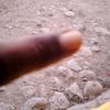 user98874412024238