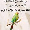 user9697122552921