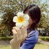 may.chit.phyoe5429