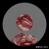 bnoo_201