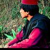 inam.ullah8173