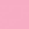 chocho_380