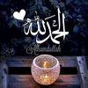 shehzadi.fatima8566