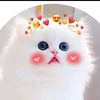juhril2