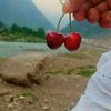 sumgul725