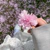 mxmdvna39_