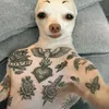 6767sssa