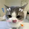 nHuy乂QLinhh