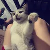 1tymnaonguoidep