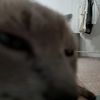 zlat.___.ka
