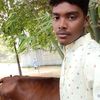 sojib.babu569