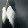 irind._1