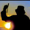 suhib.gull8