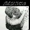 muhammad0102033