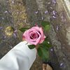 hadaq47