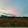 anneliese338
