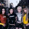 mielpopz