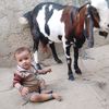 khalid.khan21787