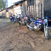_egor95
