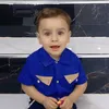aliwahed80