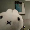 destiaip