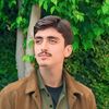ali.shah6369