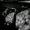 _kausar_010