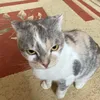 annyysh_kka961