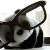 pandas.are.really.cool