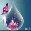 rimi.love19