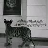 lena_11_18