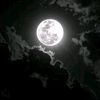 david.pereira771