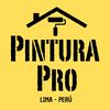Pintura Pro 🇵🇪