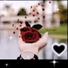 user11207098671325