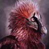 parakeet912
