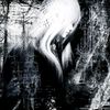 polxins_00