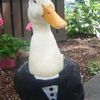 iloveducks806