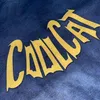 ka1ozin_cct1