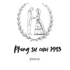 Phóng sự cưới 1993