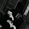 mohamed.thaner