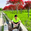 alamin75923