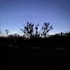 mattie_252