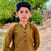 shahbaz.hussain5006